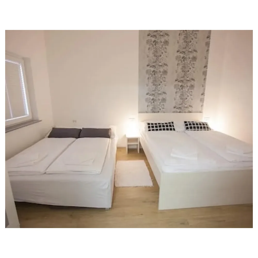 Apartments Shishka