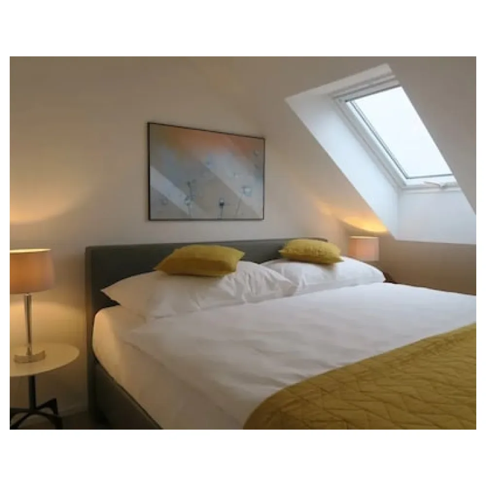Zurich Furnished Homes