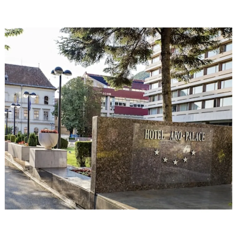 Hotel Aro Palace