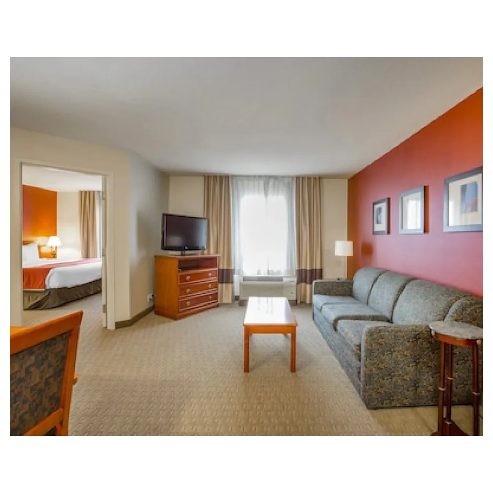 Comfort Inn & Suites South