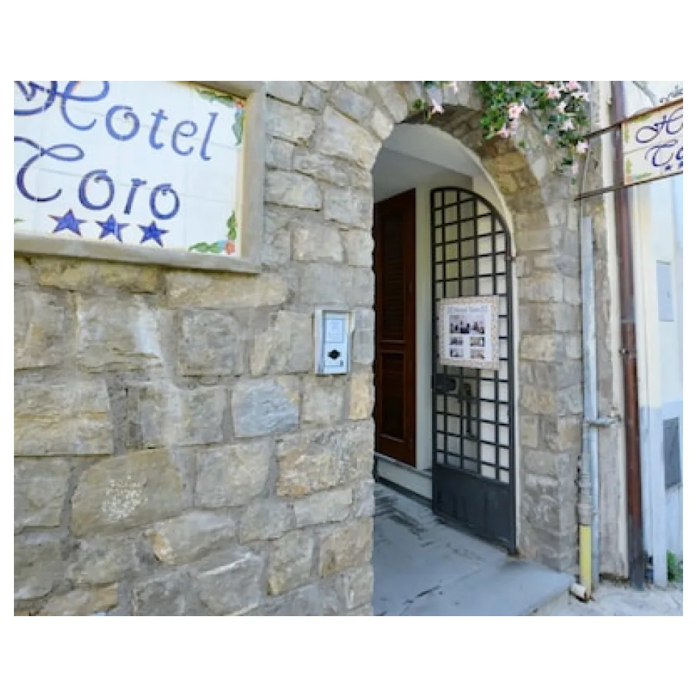 Hotel Toro