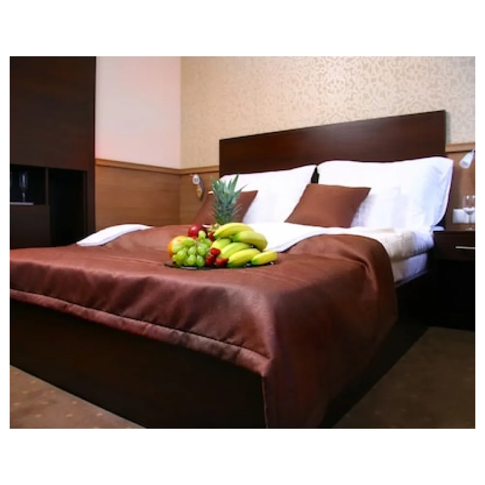 Central Hotel 21