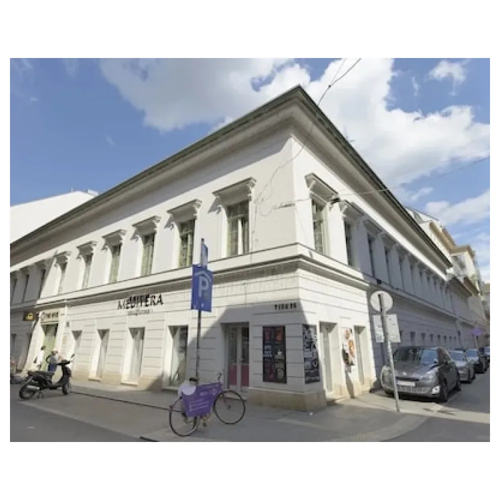 The Hive Party Hostel