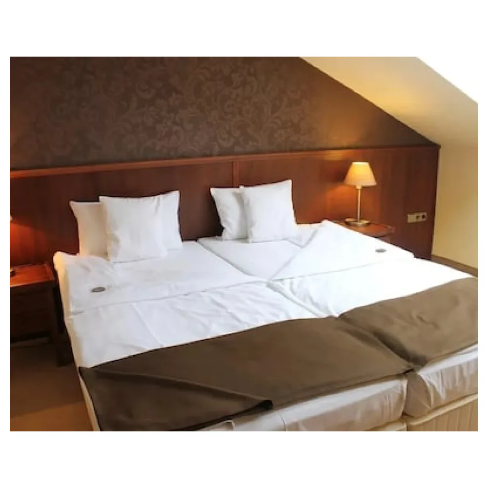 Szépia Bio & Art Hotel