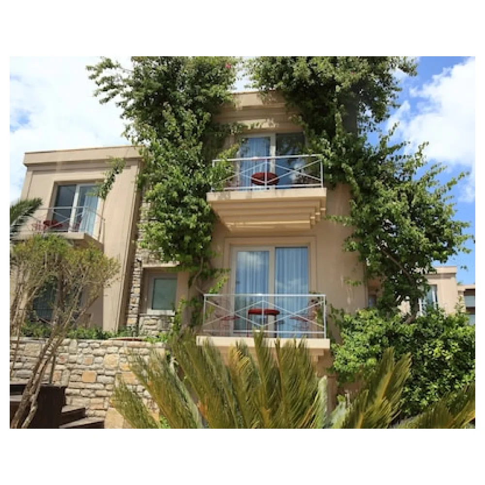 No81 Hotel