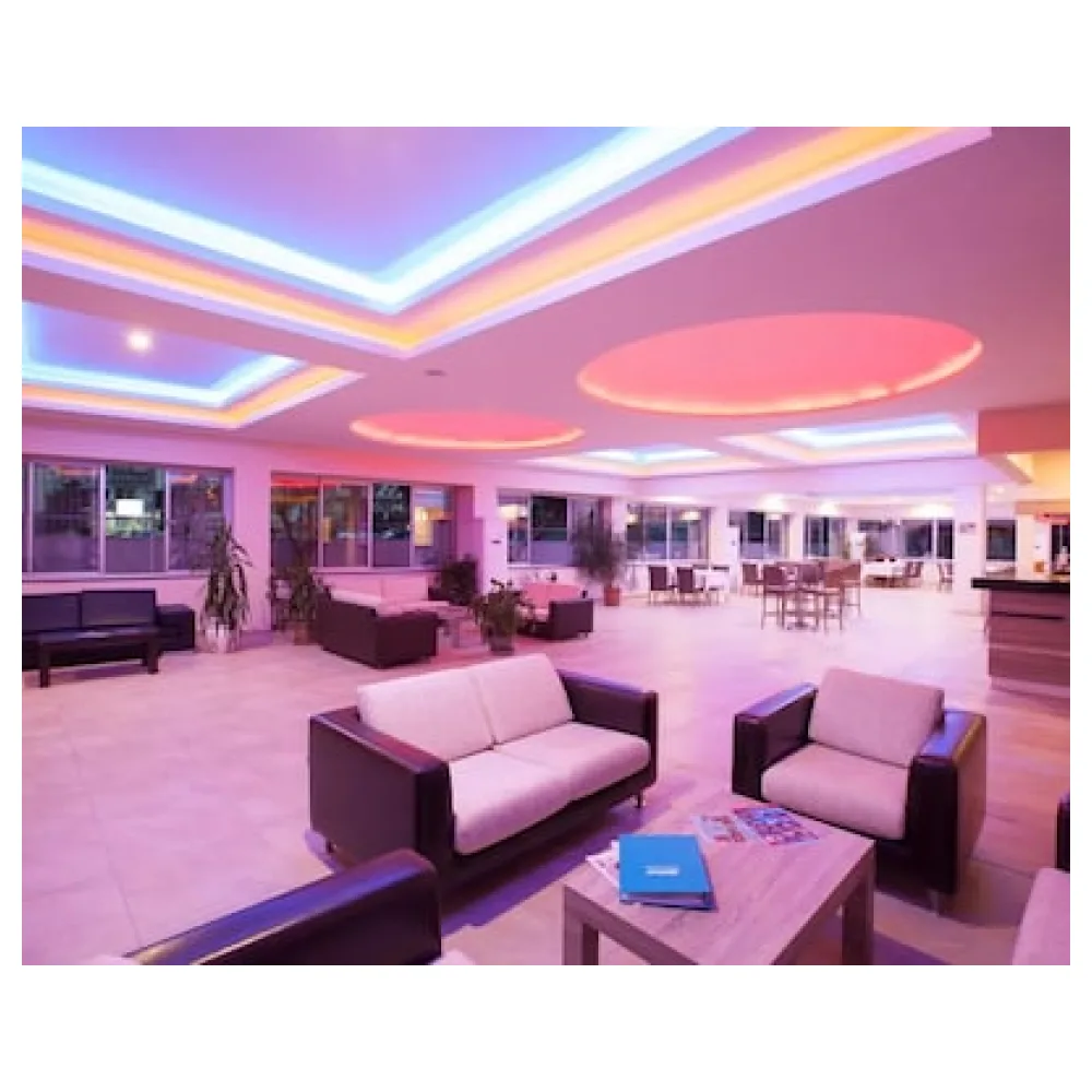 Catty Cats Garden Hotel