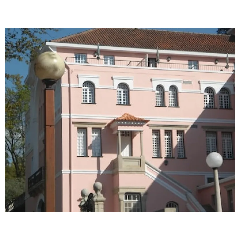 INATEL Palace S.Pedro Do Sul