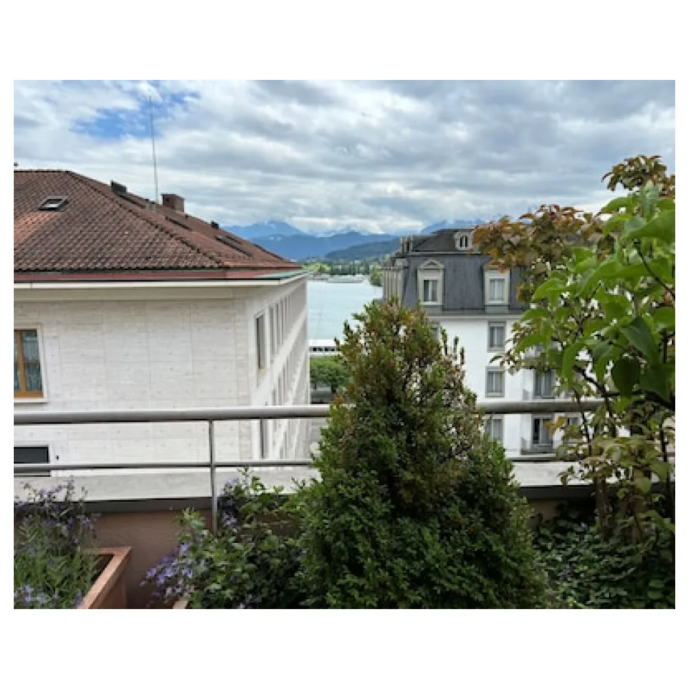 Hotel Luzernerhof