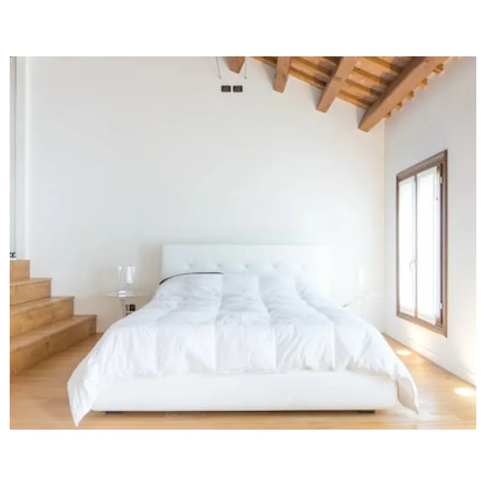 Residence Le Bugne
