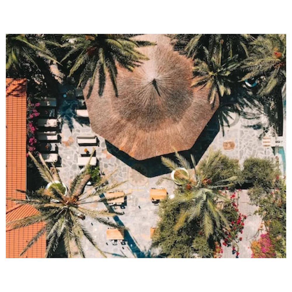 Flamingo Hotel & Spa - Pet Friendly