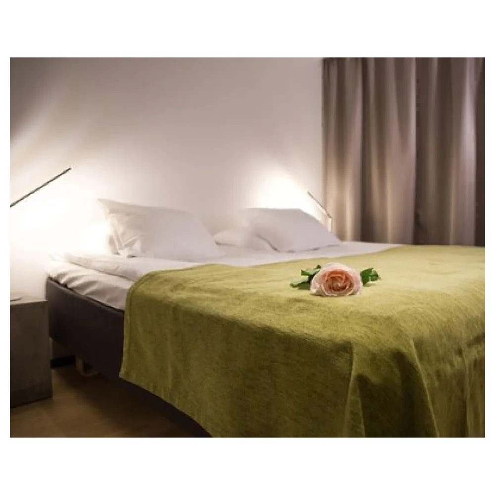 Original Sokos Hotel Kaarle