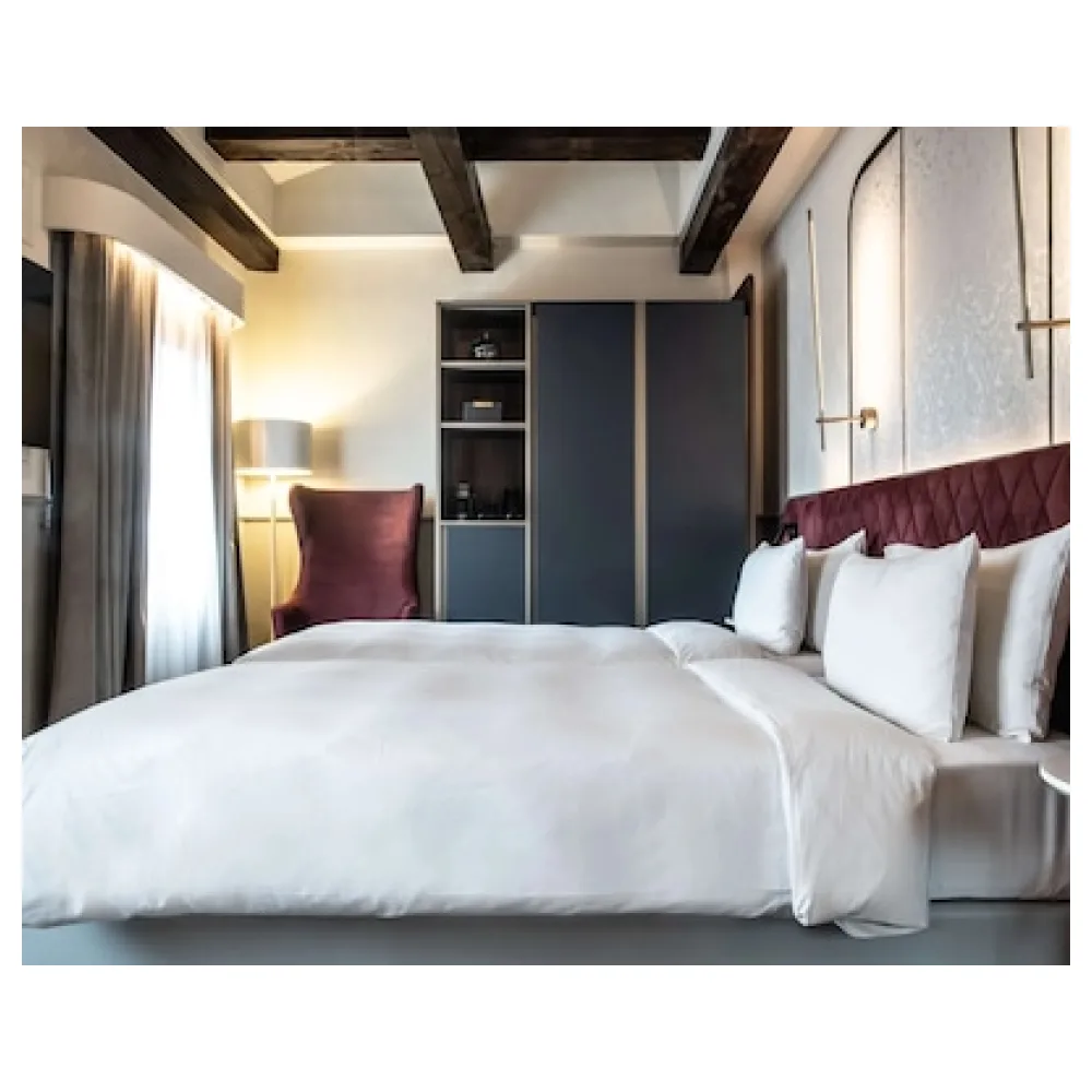 Radisson Collection Hotel Palazzo Nani Venice
