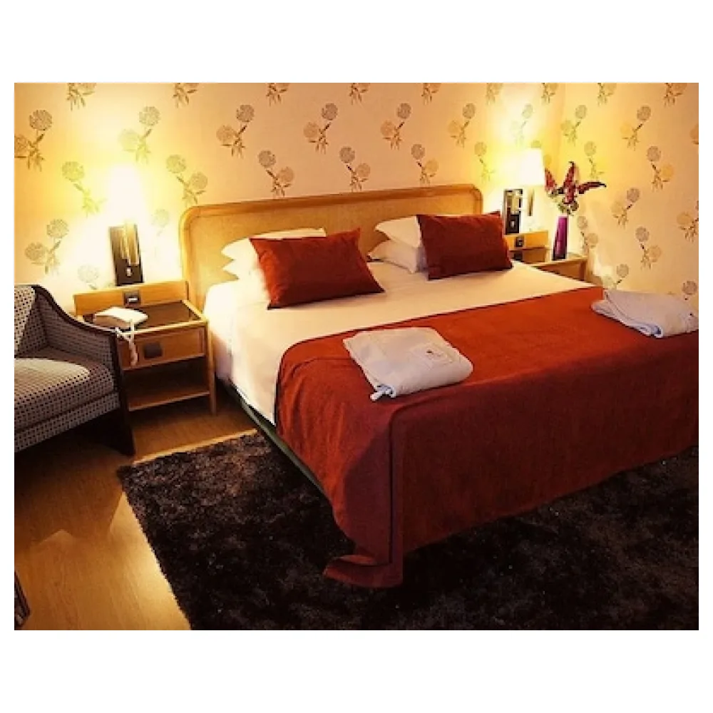 Palace Hotel & Spa - Termas de Sao Vicente