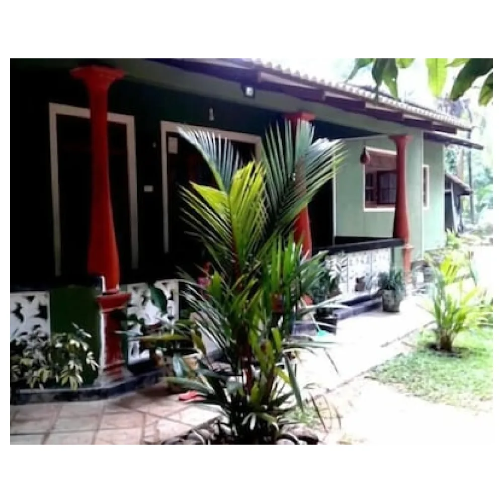 Green Bamboo House