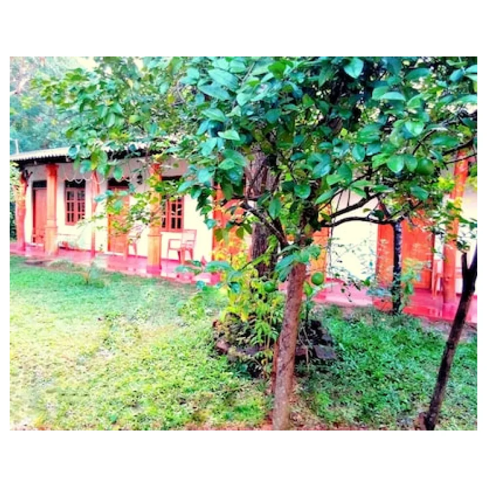 Sisira Natural Lodge - Sigiriya