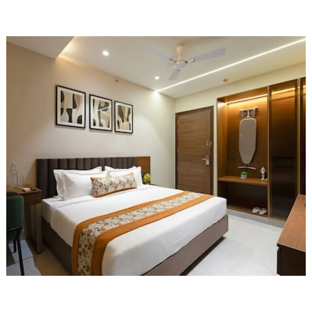 Saltstayz Premier - Naraina Central Delhi
