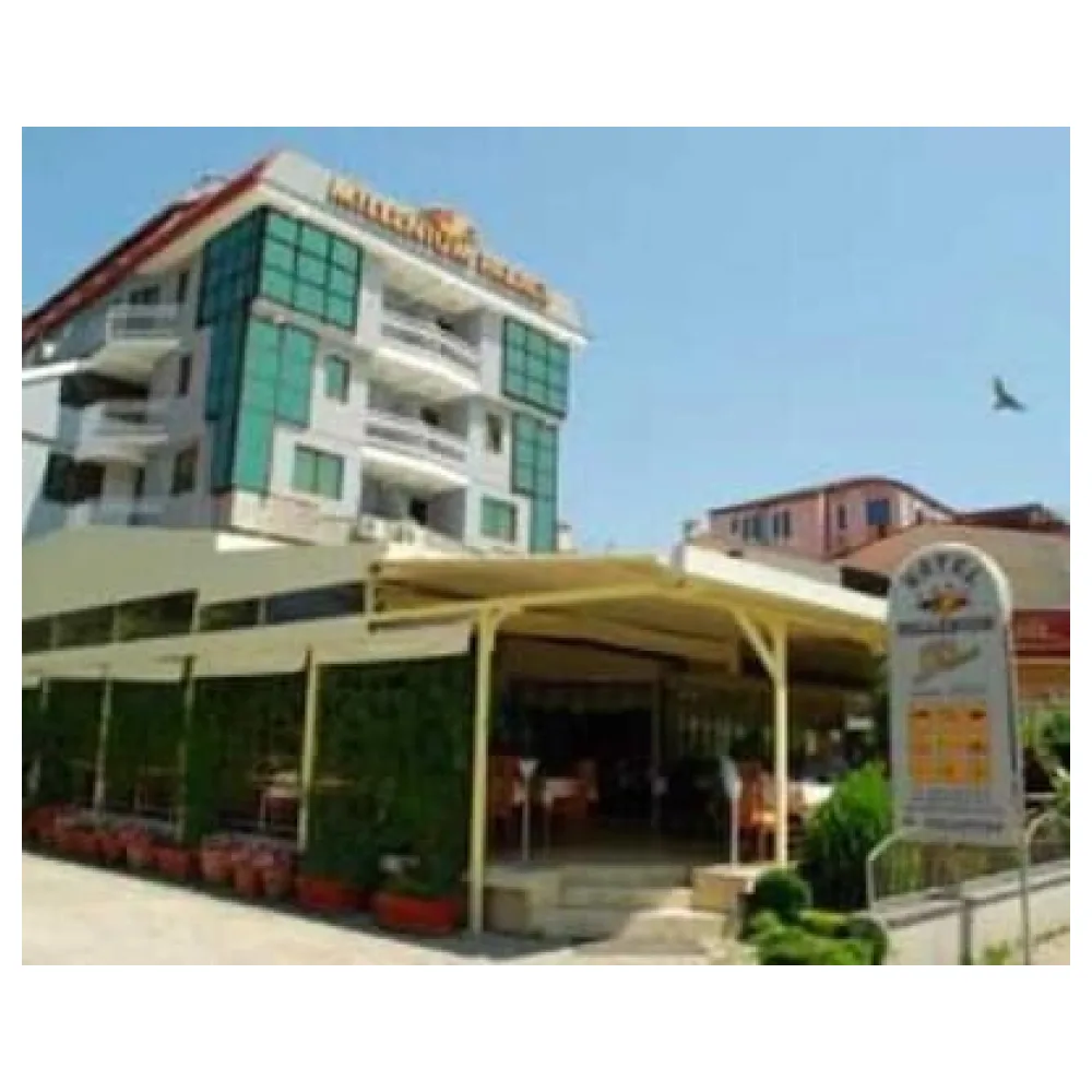 Hotel Millenium