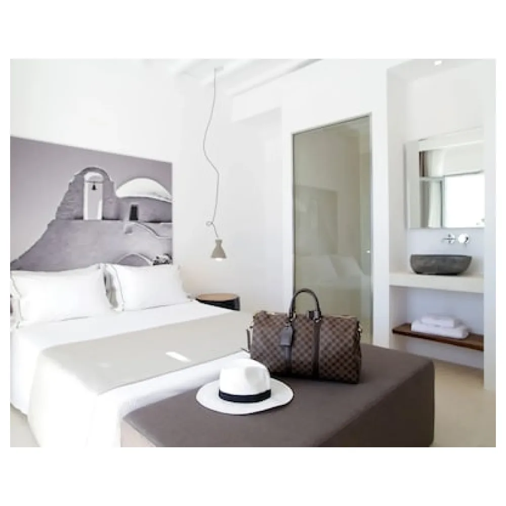 Livin Mykonos Hotel
