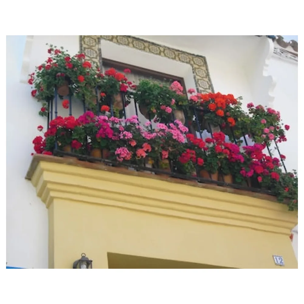 Hotel Ronda