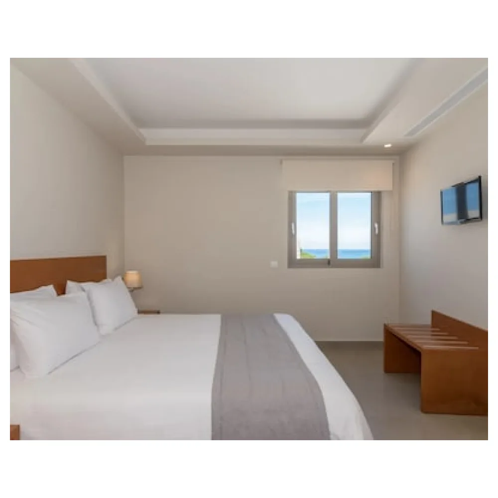 Hotel Palmyra