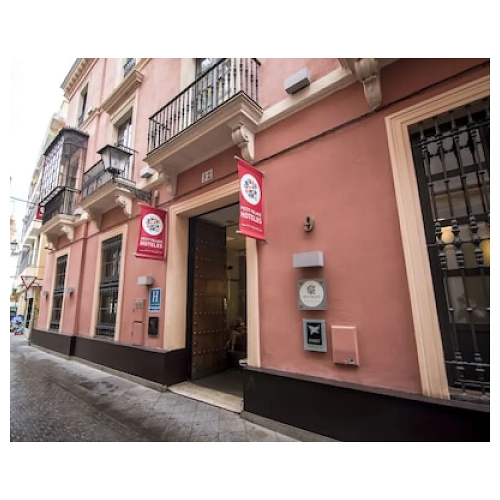Petit Palace Marques Santa Ana