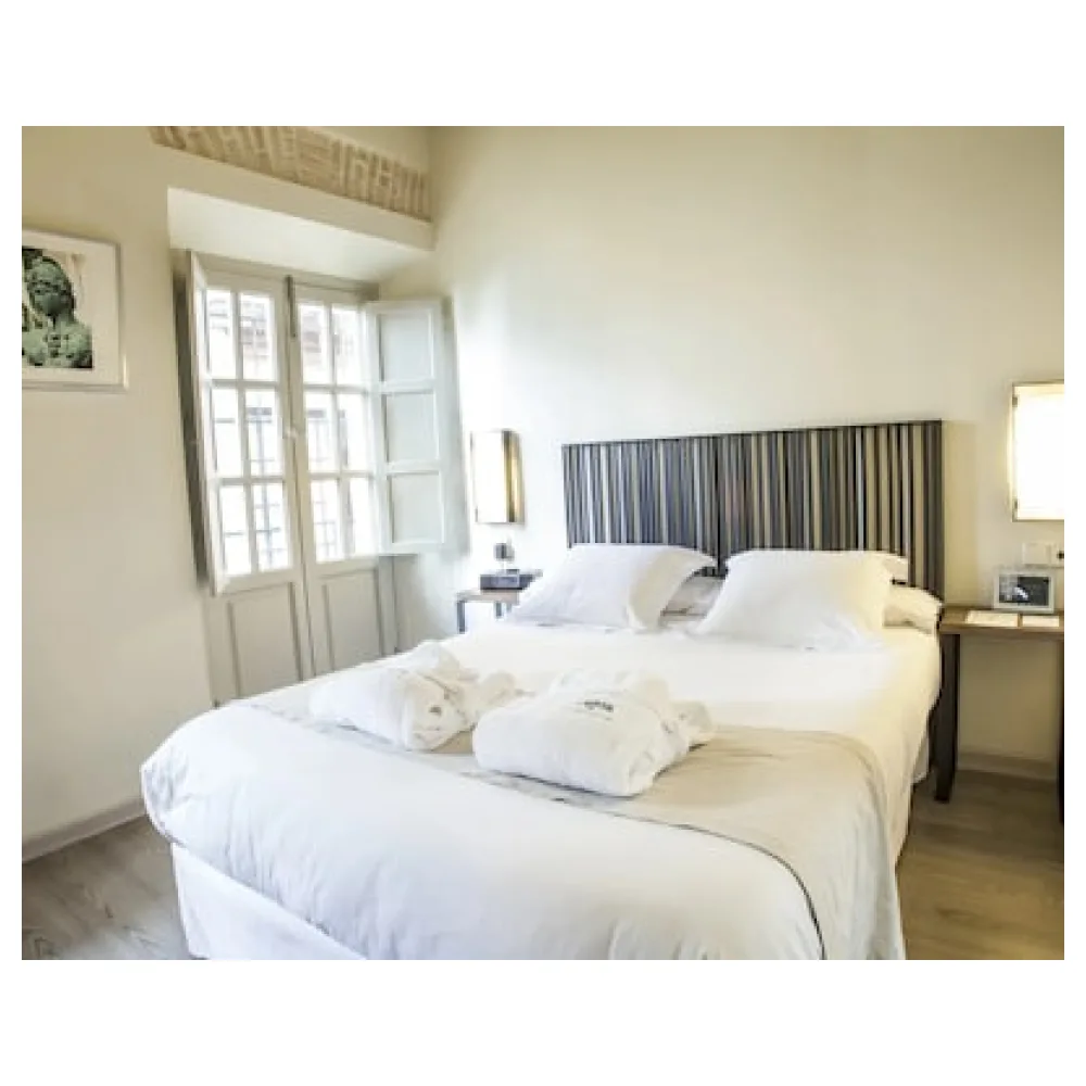 Hotel Boutique Casas de Santa Cruz