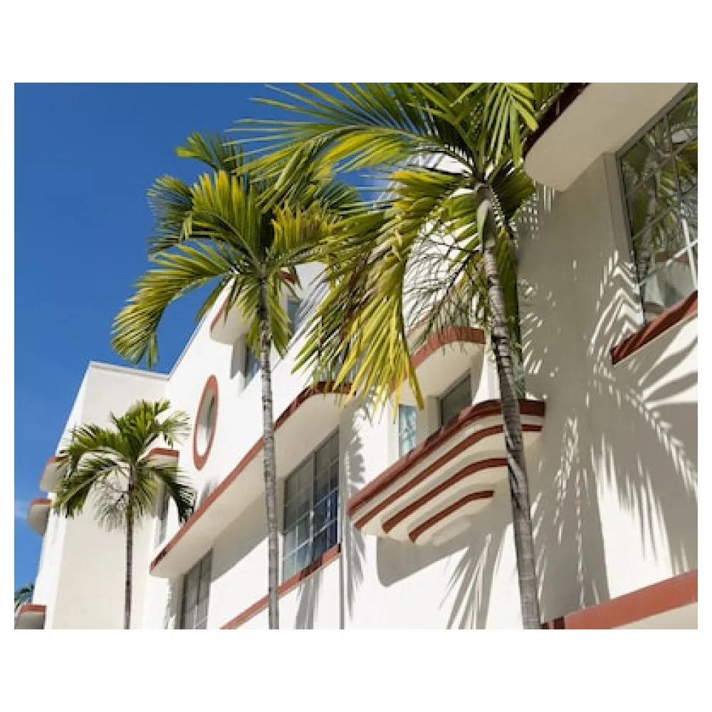 Collins Court South Beach
