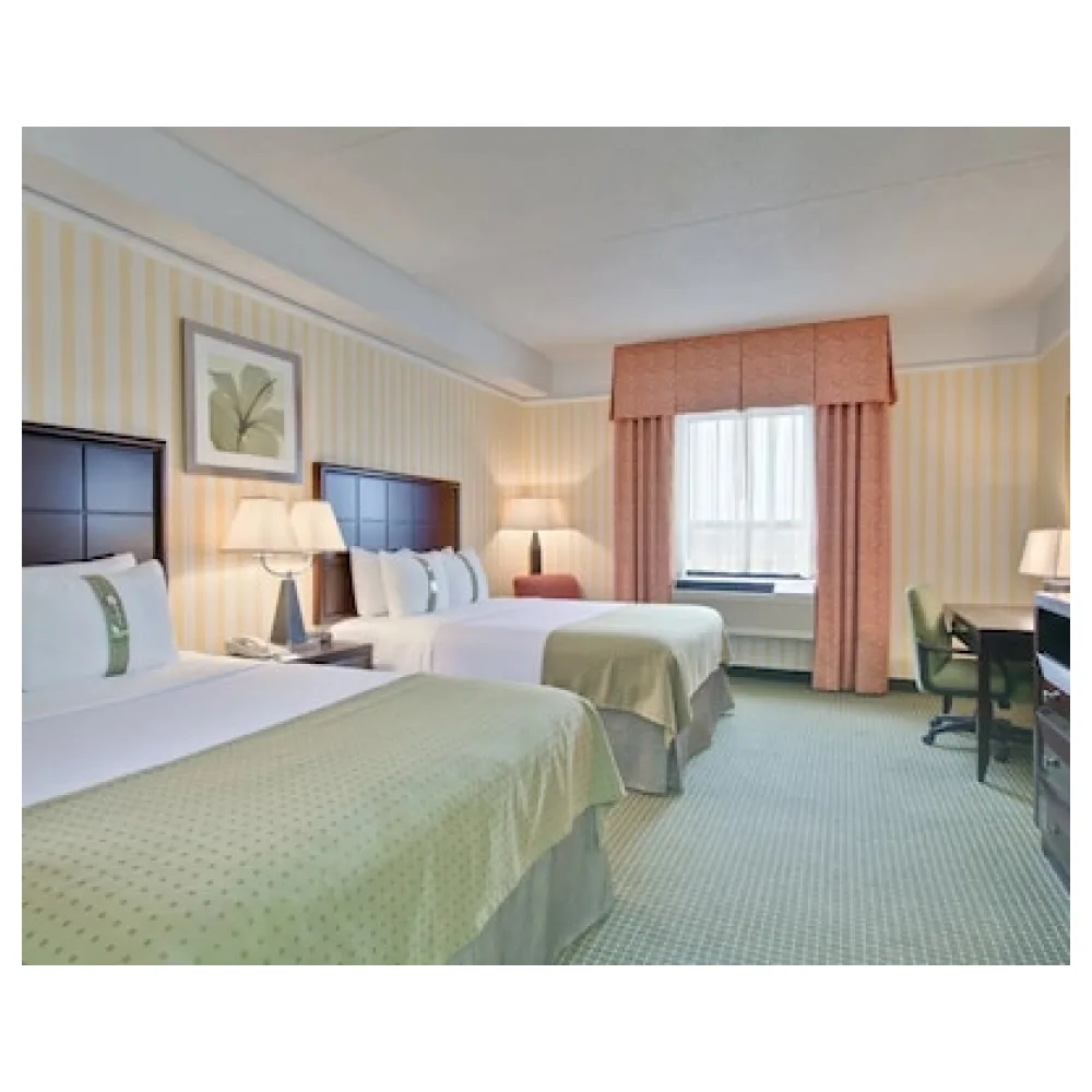 Holiday Inn & Suites Windsor (ambassador Bridge) By Ihg