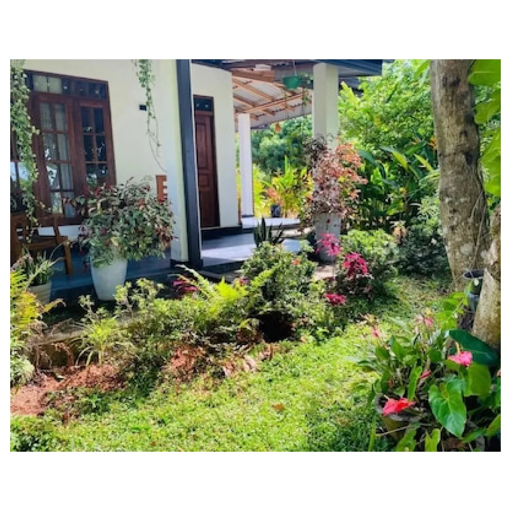Fairview Dill homestay