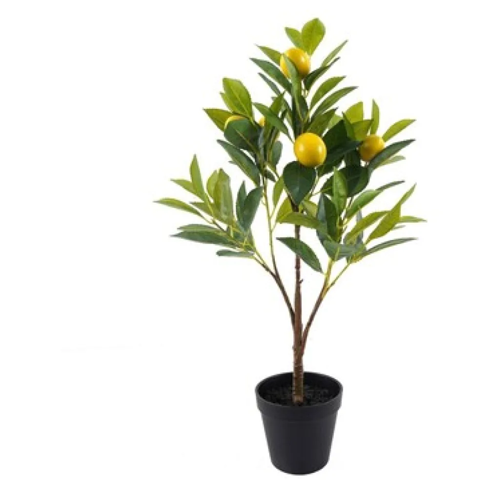 Műnövények Signes Grimalt Lemon Tree S