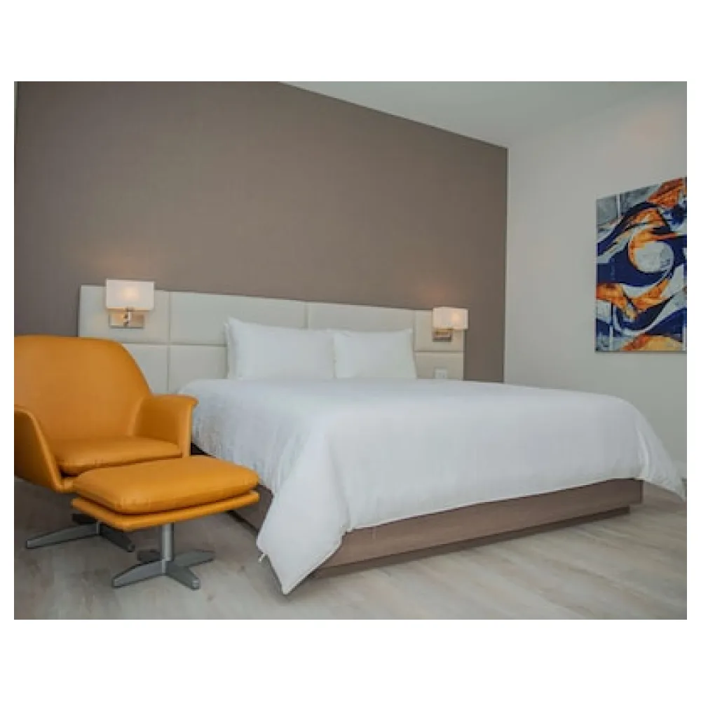 Hilton Garden Inn Santa Ana San Jose