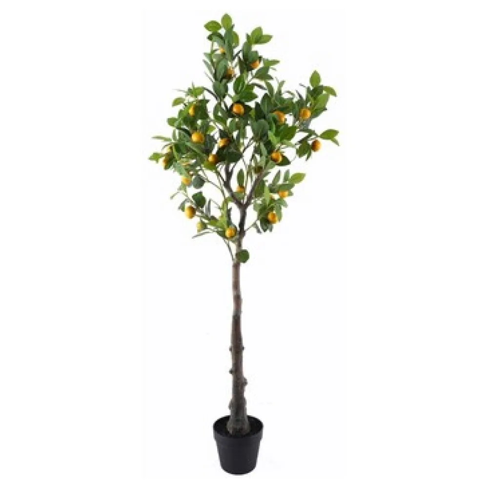 Műnövények Signes Grimalt Lemon Tree Xgra.