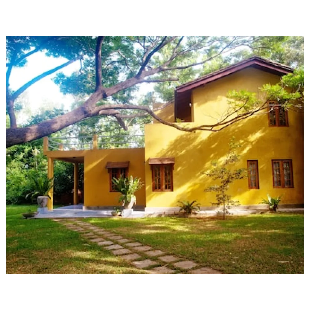 Raintree