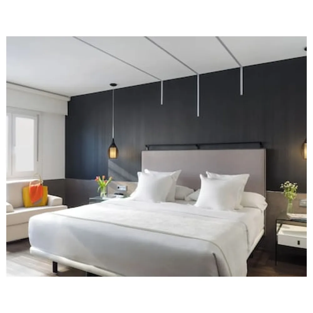 Hotel Francisco I