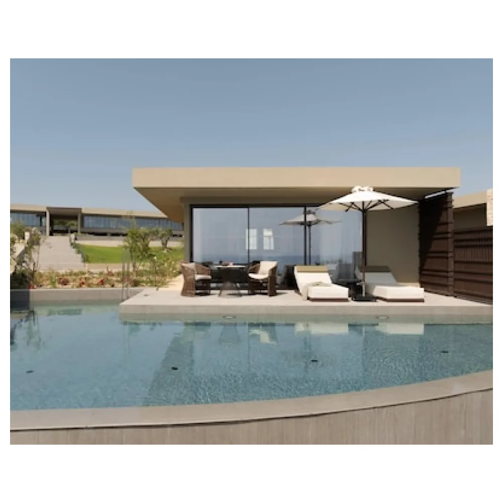 King Jason Zante - Designed for Adults