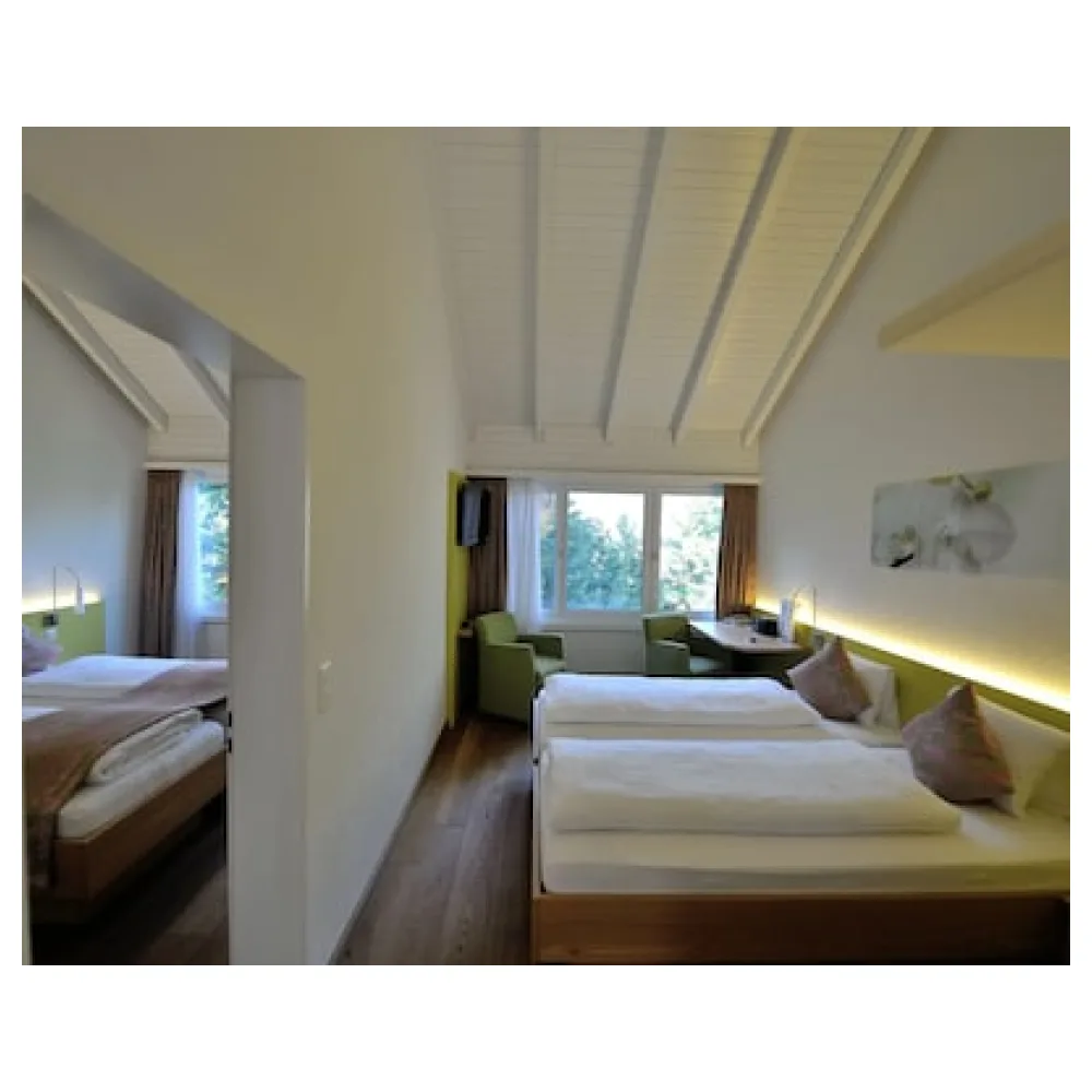 Hotel Sommerau