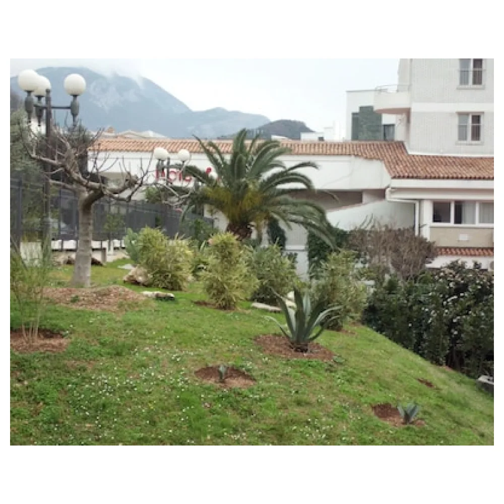 Hotel Palas