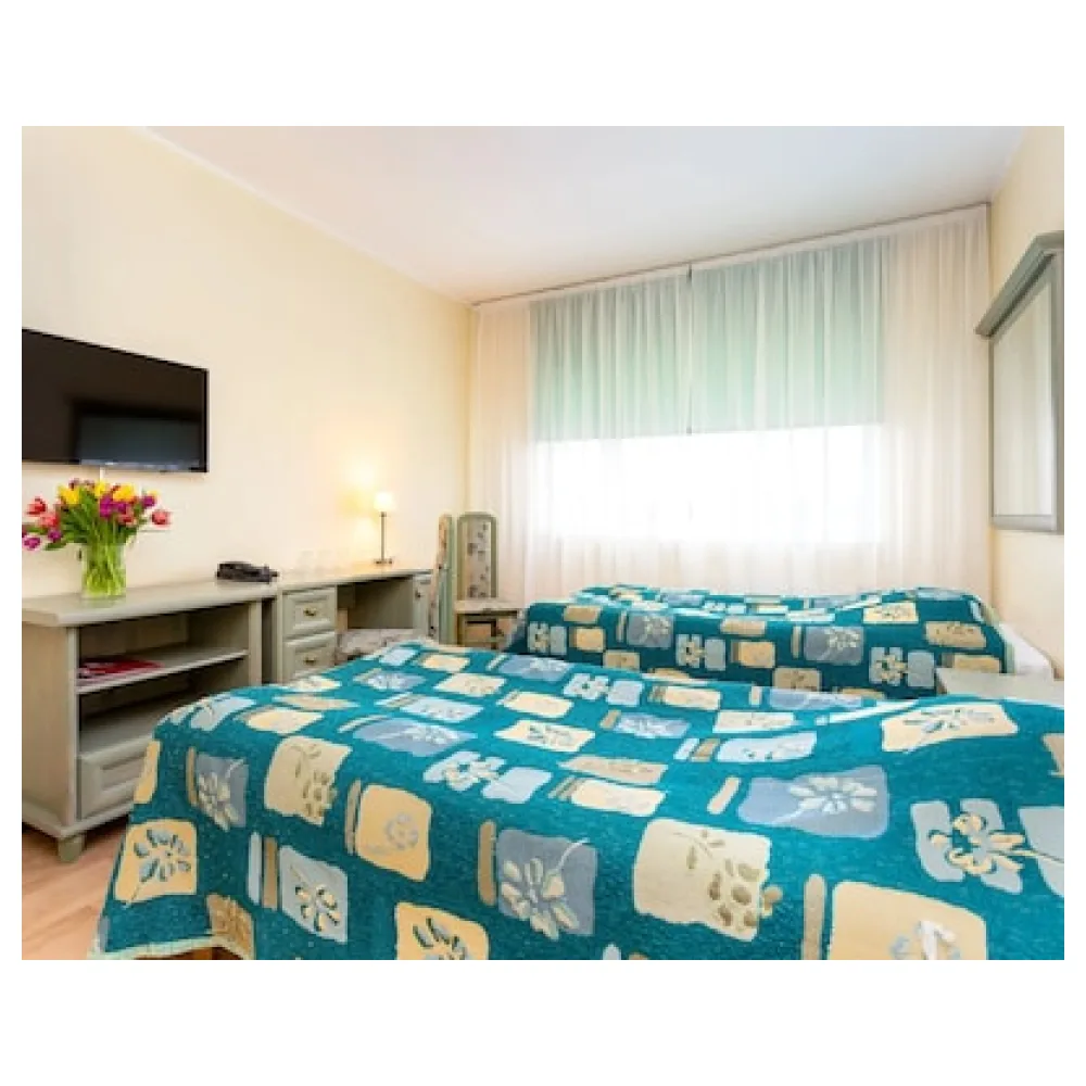 Hotel Dzingel