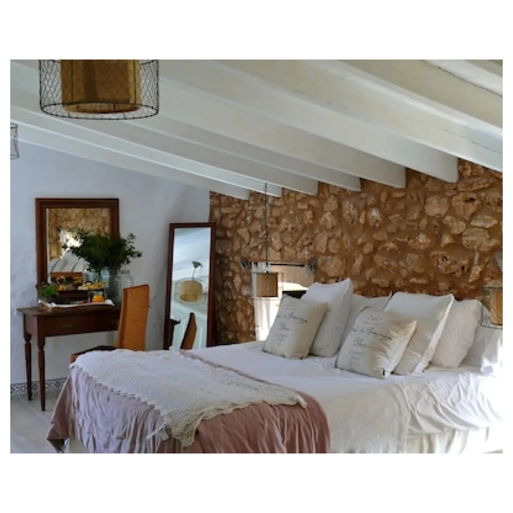 Finca Hotel Rural Es Turó