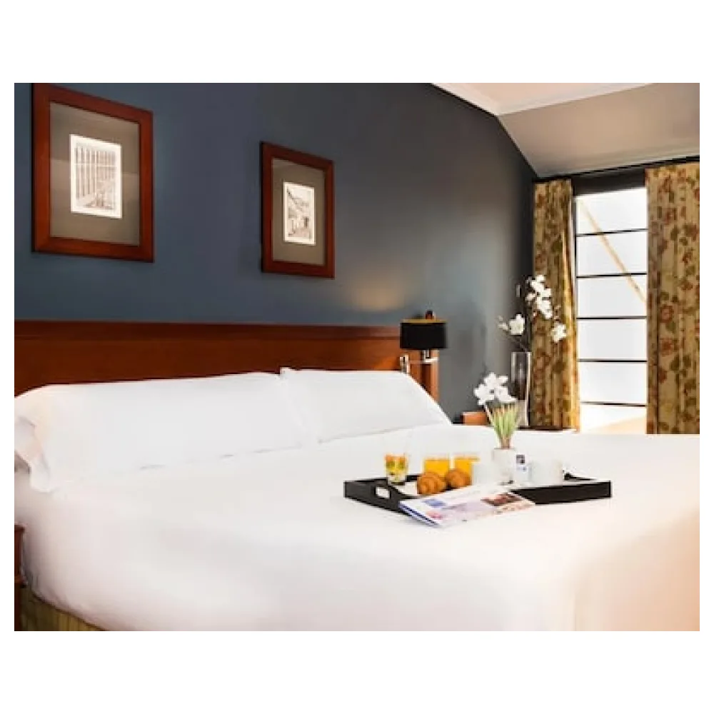 Hotel Segovia Sierra de Guadarrama