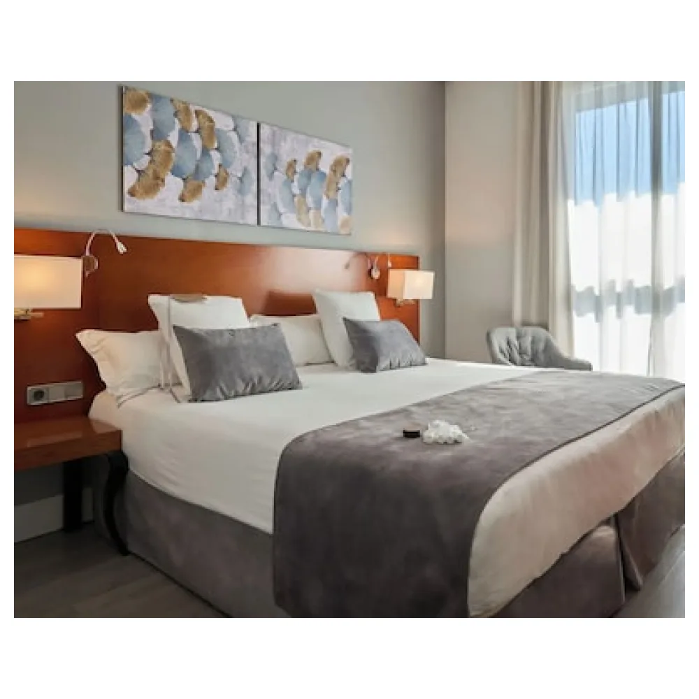 Hotel Puerta de Toledo