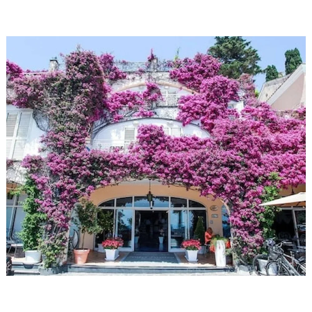 Positano Art Hotel Pasitea