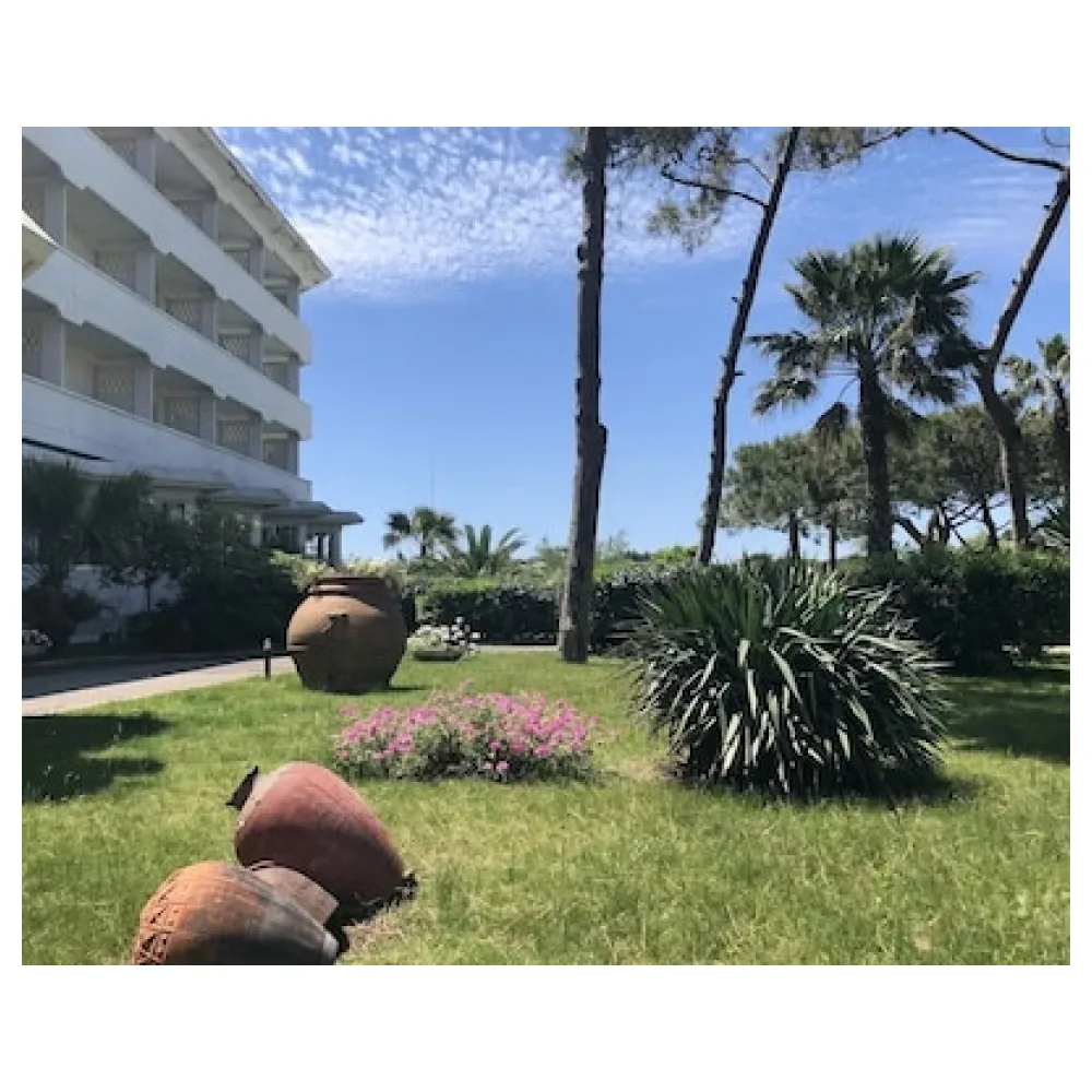 Domizia Palace Hotel