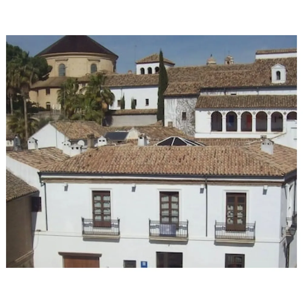 Hotel Plateros