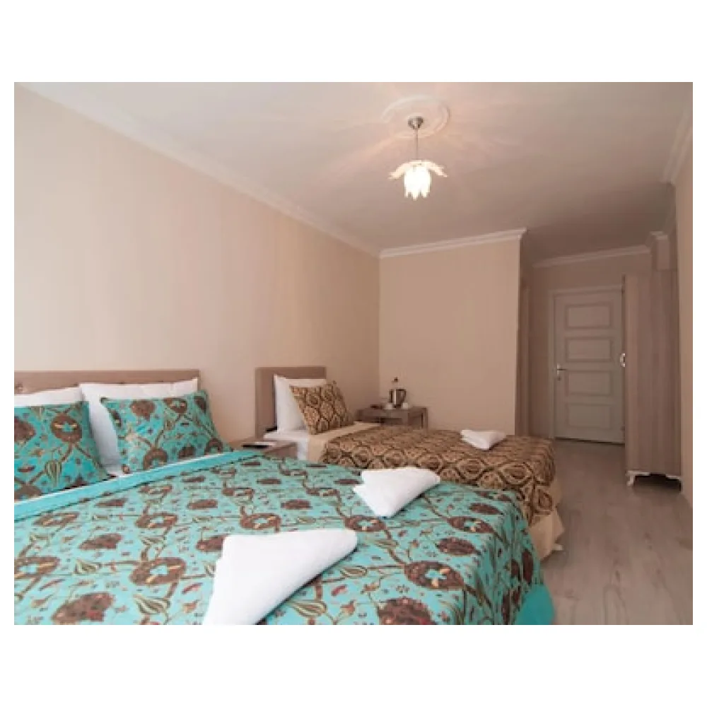 Hotel Estambul