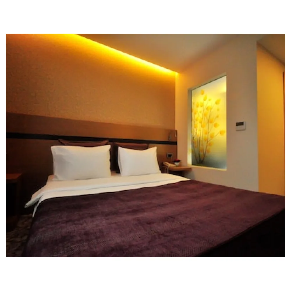 Hotel Osaka Airport