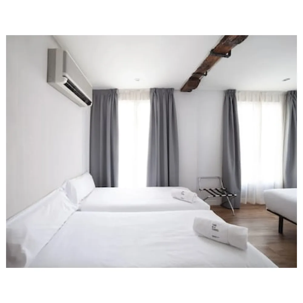 Petit Palace Arana