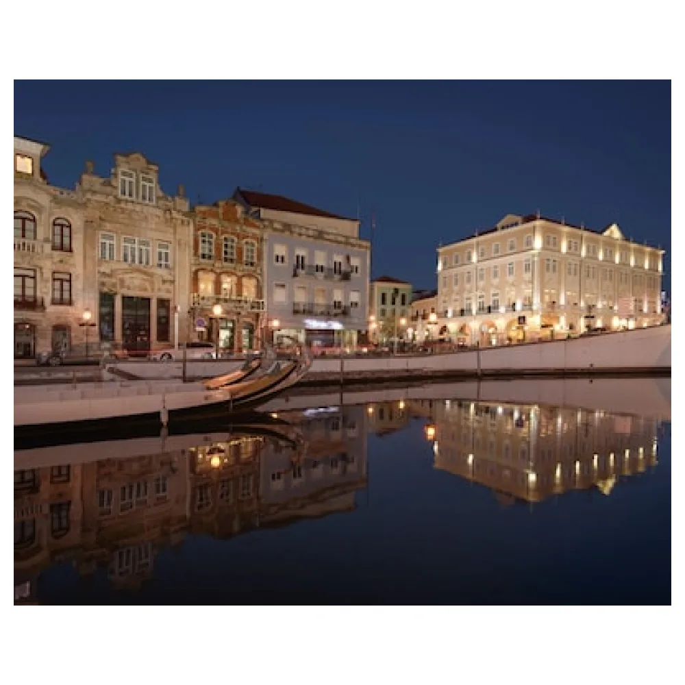 TURIM Aveiro Palace Hotel
