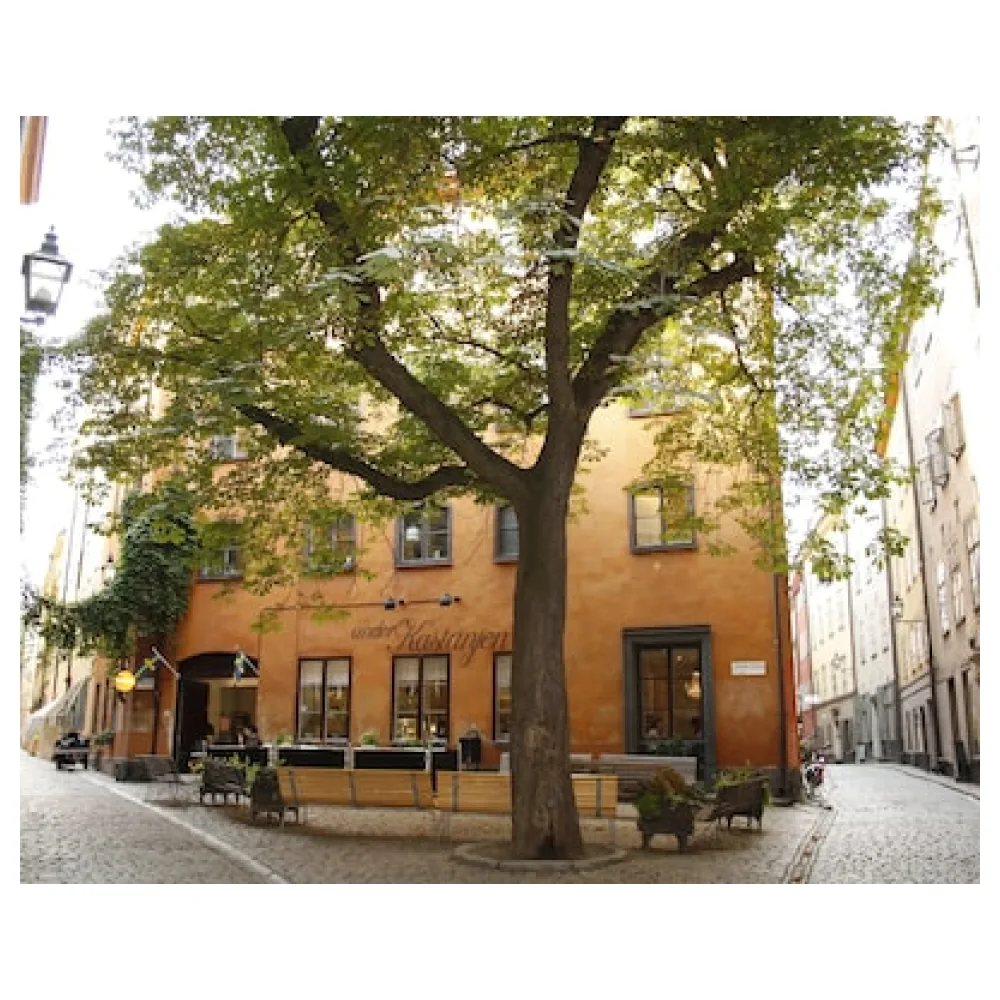 Castanea Old Town Hostel
