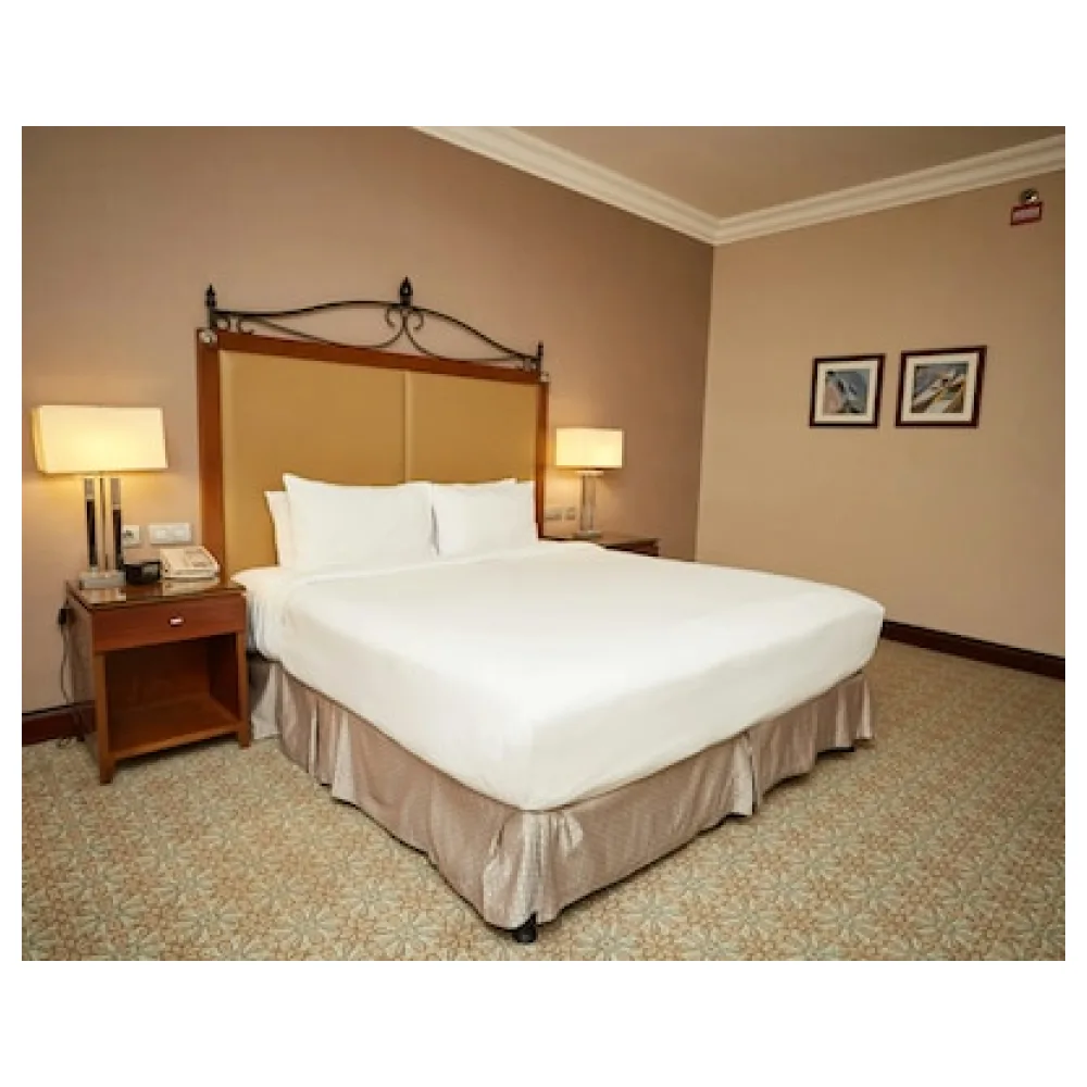 Hilton Alexandria King's Ranch